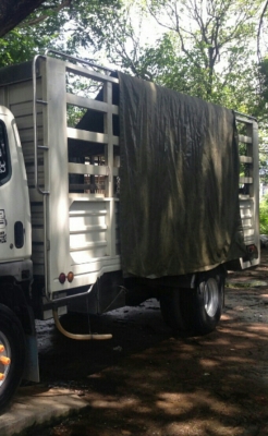 ขายแล้วครับ หกล้อ มิตซู แคนเตอร์140ยูโร2ปี47 ช่วงยาว5ม กะบะเรสทั้งลูก รถสภาพดิเดิมๆสวยพร้อมใช้ ทะเบียนพร้อมโอน