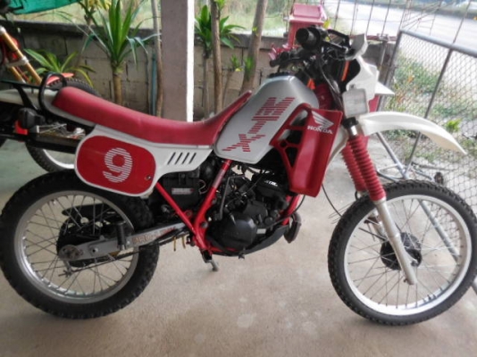 HONDA MTX125 สวยเครื่องดีภาษีครบโอนได้