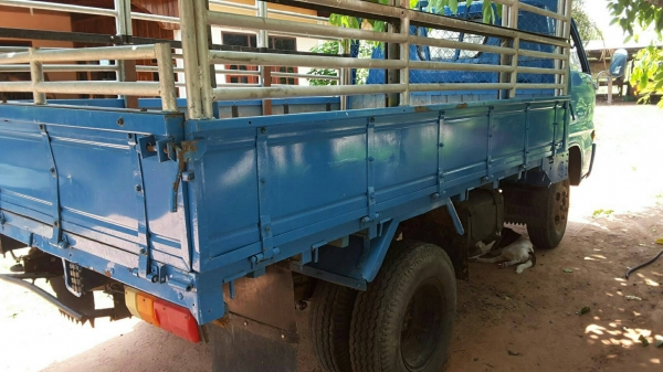 ขาย6ล้อช่วงสั้น ISUZU TLD เครื่องดี แชชซีสวย ดูรถได้ที่ อ.บัวใหญ่ จ.นครราชสีมา TEL.0857698049 0887115178 ID LINE ps5599 (ราคา130000)