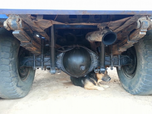 ขายรถ6ล้อ ดั้มKS 110แรง รถสวยสภาพดี เฟืองท้ายใหญ่ เอกสารพร้อมโอน ราคา260,000 สนใจโทร 090-8588220คุณนะ 093-3258446คุณบิว หรือเข้าดูสินค้าอื่นๆได้ที่ www.narong2truck.com หรือ www.truck.in.th/498 หรือเพจFacebook ณรงค์ ซื้อขายรถมือสอง (เว็บไซต์ส่วนตัว) หรือF