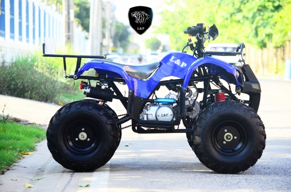 ราคาถูก ATV MINI รุ่นใหม่ล่าสุด110cc มีสวิทไฟบอกเกียร์ สุดพิเศษ โปรโมชั่นนี้พิเศษจริงๆ