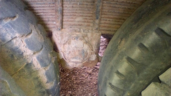 ขายรถแทรลเลอร์ ISUZU หัวยาว รถบรรทุกรถเกี่ยว เพลาเดียว 10ล้อขายราคา 250,000บาท