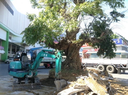 ให้เช่ารถเฮี้ยบ10ล้อ5ตัน แมกโคเล็ก ทั่วประเทศ