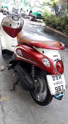 ขายลูกเดียว fino แกแยก ปี2554