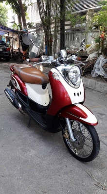 ขายลูกเดียว fino แกแยก ปี2554