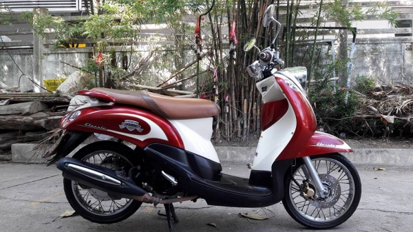 ขายลูกเดียว fino แกแยก ปี2554