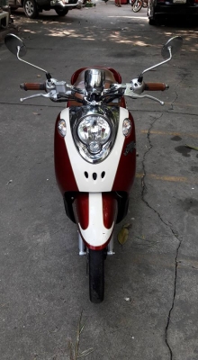 ขายลูกเดียว fino แกแยก ปี2554