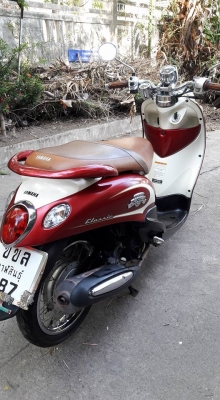 ขายลูกเดียว fino แกแยก ปี2554