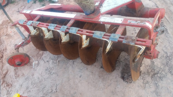 หางหกใบ22cmt