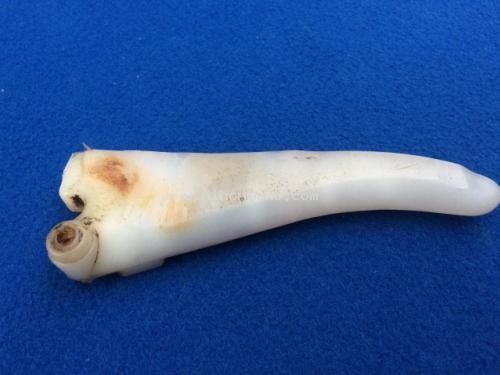 NEW อะไหล่ฟันลำเลียงข้าว (สำหรับรถเกี่ยวข้าวเดินตาม) รหัสสินค้า : 80903925 www.nihonmono.com NEW อะไหล่ฟันลำเลียงข้าว (สำหรับรถเกี่ยวข้าวเดินตาม) รหัสสินค้า : 80903925 www.nihonmono.com