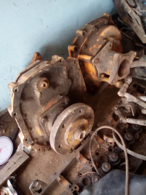 ขายตัวเดินเอวสวิงแมค์โค60ตัวละ8000บาทครับ