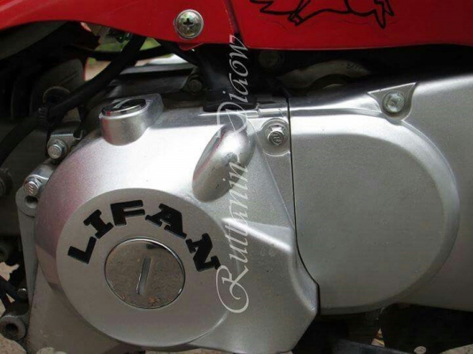 คริต
คริสตรัล rc 110 แต่งสวย คริต
คริสตรัล rc 110 แต่งสวย