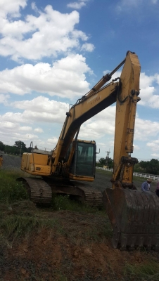 ขายโคมัสสุ200-6