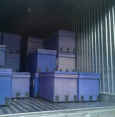 จองแล้วรับมัดจำเรียบร้อย ครับ มิตซู FUSO FK457F 6D16-225โบว์ ยูโร2ปี48 สภาพเดิมๆสวยบางพายในครบ ทะเบียนพร้อมโอน จองแล้วรับมัดจำเรียบร้อย ครับ มิตซู FUSO FK457F 6D16-225โบว์ ยูโร2ปี48 สภาพเดิมๆสวยบางพายในครบ ทะเบียนพร้อมโอน