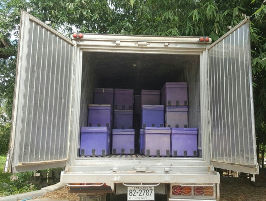 จองแล้วรับมัดจำเรียบร้อย ครับ มิตซู FUSO FK457F 6D16-225โบว์ ยูโร2ปี48 สภาพเดิมๆสวยบางพายในครบ ทะเบียนพร้อมโอน จองแล้วรับมัดจำเรียบร้อย ครับ มิตซู FUSO FK457F 6D16-225โบว์ ยูโร2ปี48 สภาพเดิมๆสวยบางพายในครบ ทะเบียนพร้อมโอน