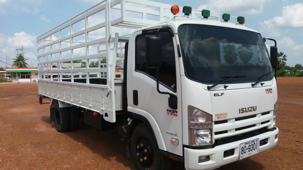 ขายด่วน รถหกล้อ ISUZU NQR 175 แรงม้า สภาพดี พร้อมใช้งาน