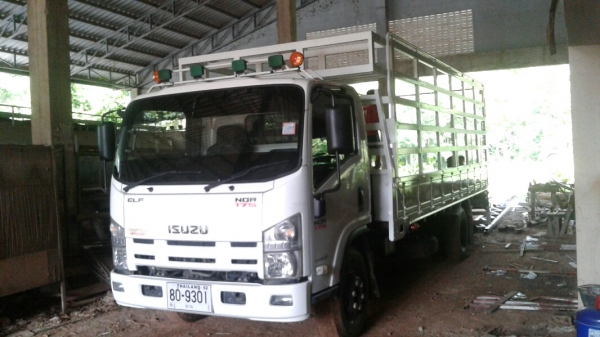 ขายด่วน รถหกล้อ ISUZU NQR 175 แรงม้า สภาพดี พร้อมใช้งาน