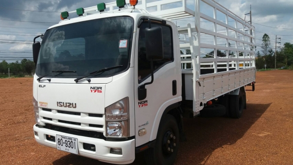 ขายด่วน รถหกล้อ ISUZU NQR 175 แรงม้า สภาพดี พร้อมใช้งาน