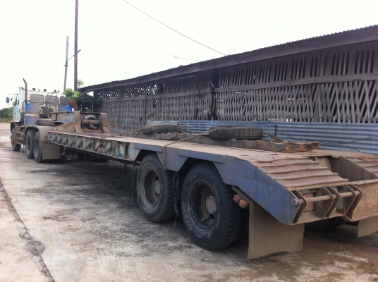 240 หัวลากพร้อมหางโลเบส ไม่แยก 240 หัวลากพร้อมหางโลเบส ไม่แยก