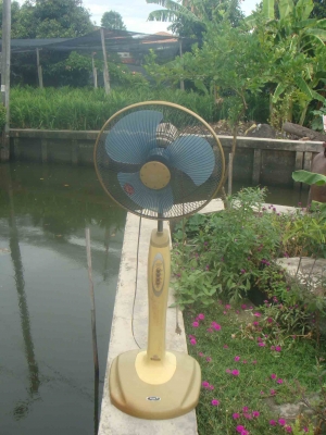 ขายพัดลม ตั้งพื้น ขนาด 18" ยี่ห้อ Mira