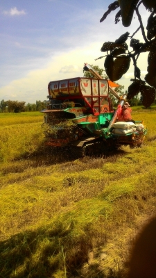 ขายรถเกี่ยวข้าว (((มีคลิปและรูปตอนต่อใหม่))) ต่อมาใหม่เกี่ยวนาปีแค่ครั้งเดียว สภาพใหม่พร้อมใช้ สนใจก็คุยกันได้ครับไม่มีคนดูแลครับ 089-6803334 ขายรถเกี่ยวข้าว (((มีคลิปและรูปตอนต่อใหม่))) ต่อมาใหม่เกี่ยวนาปีแค่ครั้งเดียว สภาพใหม่พร้อมใช้ สนใจก็คุยกันได้ครับไม่มีคนดูแลครับ 089-6803334