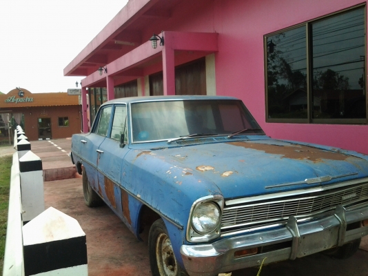 ขายเชพ โนว่า