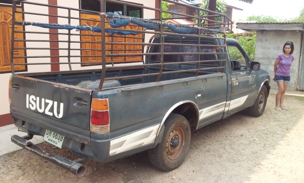 ขายTFRปี32 ขายTFRปี32