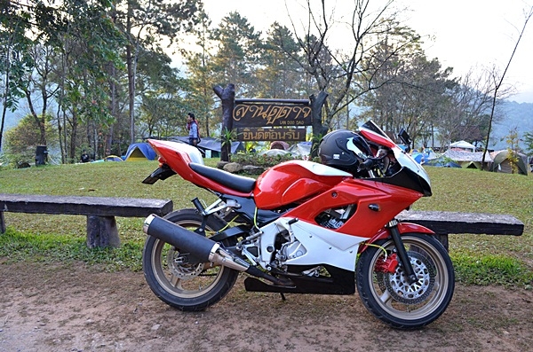 ขาย nsr แต่งเต็ม