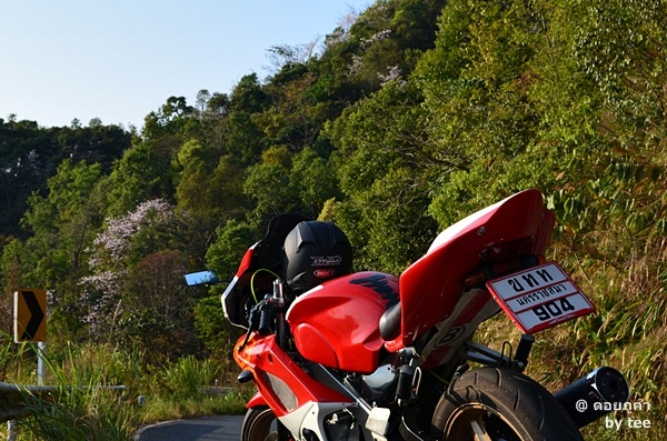 ขาย nsr แต่งเต็ม