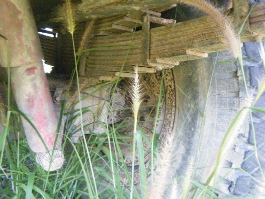 รถบรรทุก 6 ล้อดั๊มพ์  ยี่ห้อ MITSUBISHI รุ่น FUSO