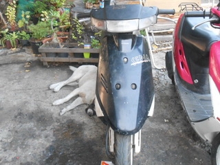 ขายถูกๆคับ