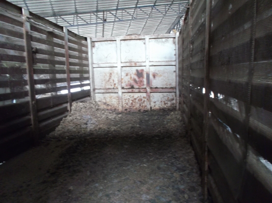 ขายด่วนรถ6ล้อKM310ดรั้มเกษตรยาว4.20มวางหัววางเครื่อง