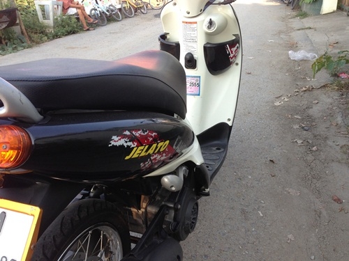 ขายjelatoสีดำปี2554