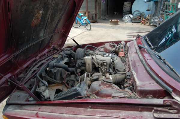 ขาย BMW 2ประตู sport