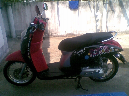 ขายscoopy i