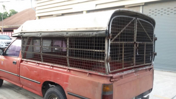 หลังคาใส่รถ Mity ช่วงยาว