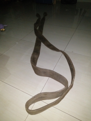 สลิงผ้าพร้อมสะเกน