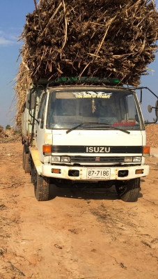 สิบล้อ อีซูชุ ร็อค FVZ12M175 ดั้ม สโลส 2เพา สภาพดีสวยพร้อมใช้ ทะเบียนพร้อมโอน สิบล้อ อีซูชุ ร็อค FVZ12M175 ดั้ม สโลส 2เพา สภาพดีสวยพร้อมใช้ ทะเบียนพร้อมโอน