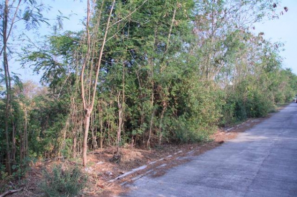 ขายที่ดินถนนพระราม 2 ซอย 73 เนื้อที่ 100 ตร.ว.