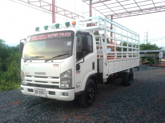 ขายด่วน รถบรรทุก 6 ล้อ ISUZU NQR 175 แรง สภาพพร้อมใช้