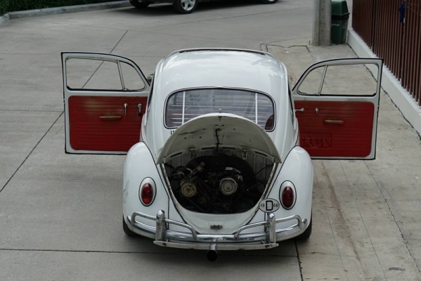 วุฒิ นนบุรี ขาย โฟล์ค เต่า ตาหวานขับซ้ายซันรูฟแท้รถพร้อมใช้ทะเบียนพร้อมโอน