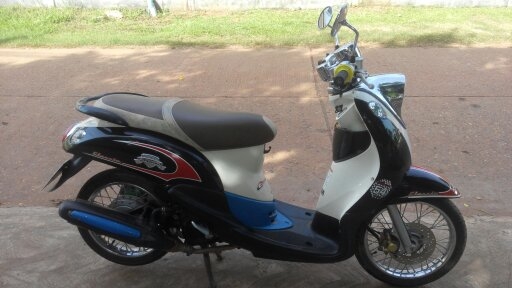 Fino เกย์แยก