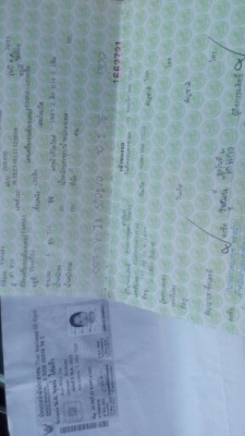 Fino เกย์แยก