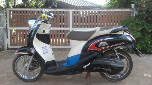 Fino เกย์แยก