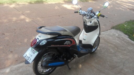 Fino เกย์แยก