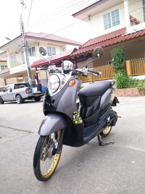 ขายฟีโน่จร้า ขายฟีโน่จร้า