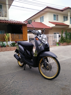 ขายฟีโน่จร้า