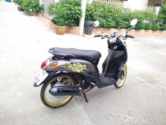 ขายฟีโน่จร้า ขายฟีโน่จร้า