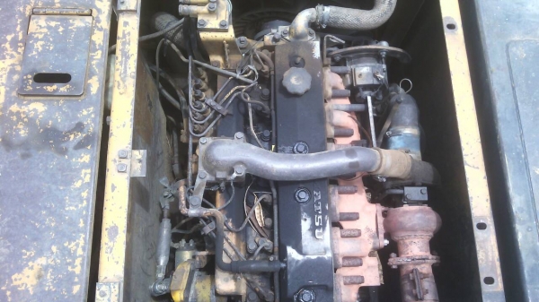 ขายโคมัสสุ200-5 ขายโคมัสสุ200-5