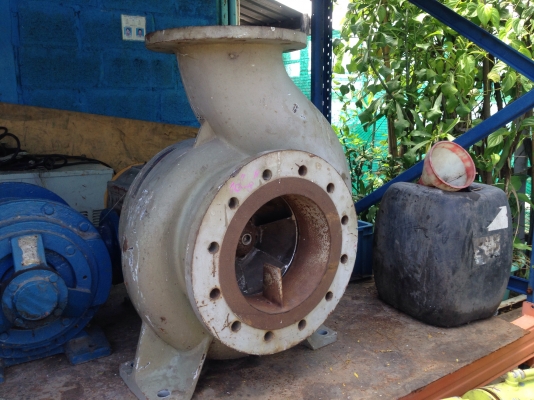 หัวปั้มน้ำหอยโข่ง AHLSTORM made in Finland ขนาดเข้า 10นิ้ว ออก 8นิ้ว ใบพัดสแตนเลสอย่างดี สภาพสวย หมุนนิ่ม พร้อมใช้งาน